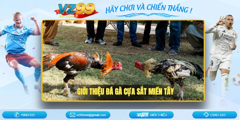 da-ga-cua-sat-mien-tay-gioi-thieu