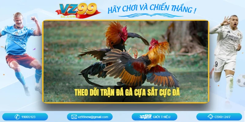da-ga-cua-sat-mien-tay-theo-doi-sieu-me