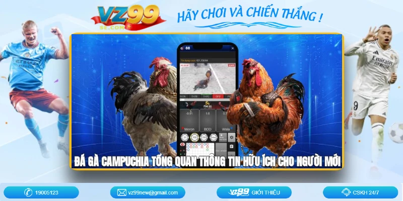 tim-hieu-da-ga-campuchia
