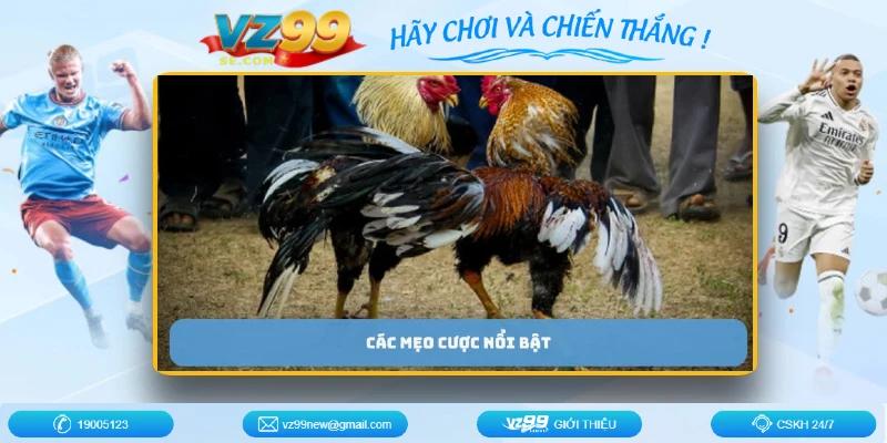 da-ga-peru-meo