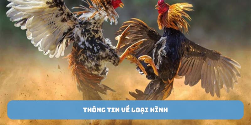 da-ga-tre-thomo-thong-tin